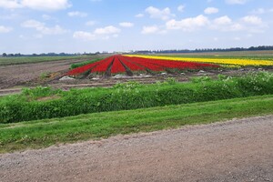 Koningsdag-fietstocht 2025