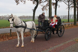 Intocht Sinterklaas 2021