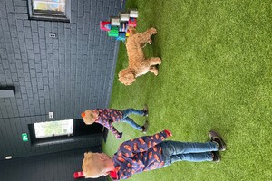 Koningsdag 2024