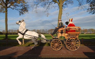 Sinterklaasintocht  …